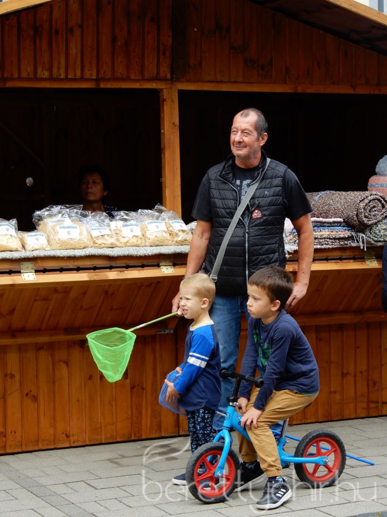 Helyi Értékek Startja 24